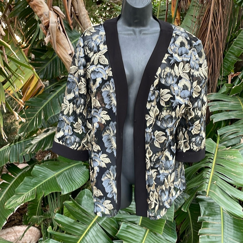 Alex evenings, sheer metallic champagne, floral jacket